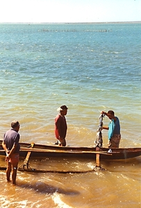 Visvangst met de Outrigger