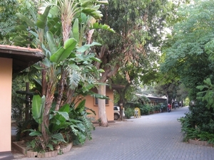 vakantie in Italië 223a