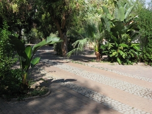 vakantie in Italië 226a