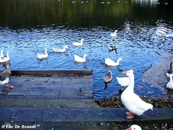 Ardennen wandeling Dinant