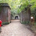 DSCN0205