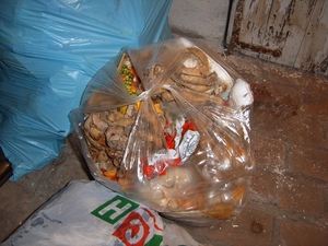 SUC52517