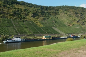 DSC09401
