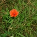 Raversijde 16 Juli 2007 037 (Medium)-1