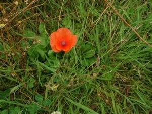 Raversijde 16 Juli 2007 037 (Medium)-1