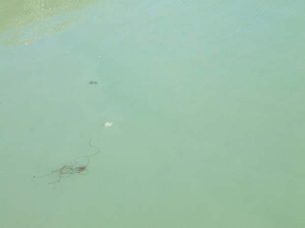 Szabatszág oktober 2009 162