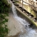 SAM_1473