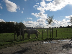 Fiets West Uit Dilbeek-Vlezenbeek 2010 017