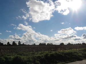 Fiets West Uit Dilbeek-Vlezenbeek 2010 019