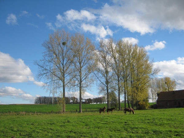 Fiets West Uit Dilbeek-Vlezenbeek 2010 077