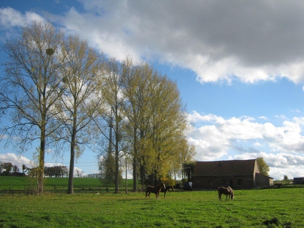 Fiets West Uit Dilbeek-Vlezenbeek 2010 078