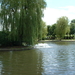 Pond