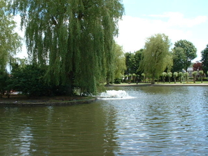 Pond