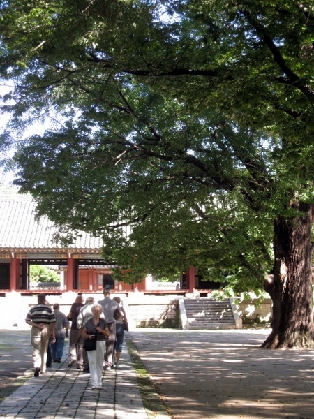 P1010081