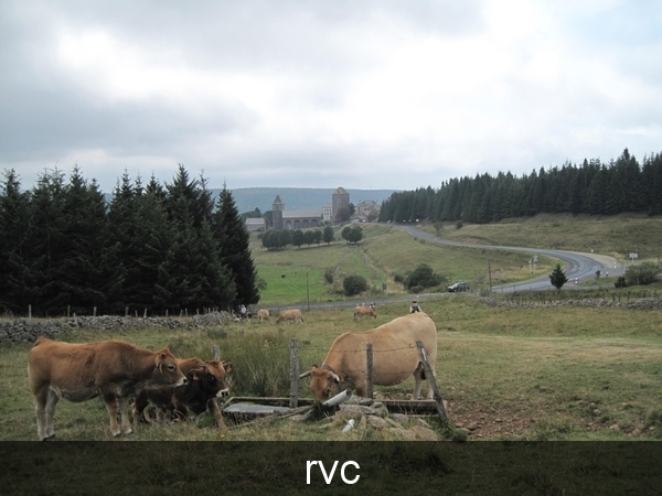 aankomst in stadje Aubrac: wij stappen verder tot St-Chly-d'Aubr