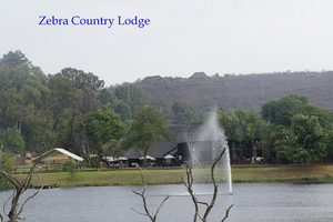 Zebra country lodge