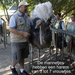 Oudtshoorn - Struisvogels