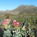 Swartberg Pass