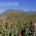 Swartberg