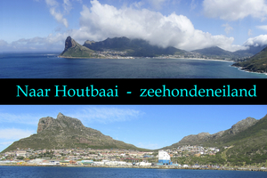 Houtbaai