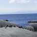 Boulders Beach Bij Simon's Town