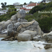 Boulders Beach Bij Simon's Town