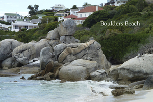 Boulders Beach Bij Simon's Town