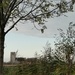 Damme+oostkerke (14)