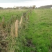 Damme+oostkerke (17)