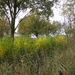 Damme+oostkerke (18)