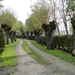 Damme+oostkerke (22)