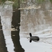 Damme+oostkerke (3)