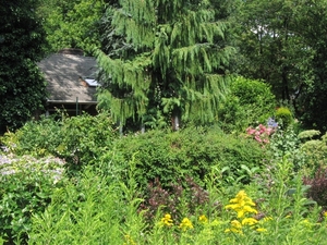 zomer 2010 003