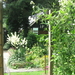 zomer 2010 008