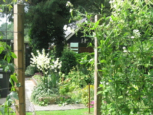 zomer 2010 008