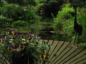 juni 2009 fotos tuin 034
