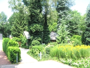 zomer 2010 001