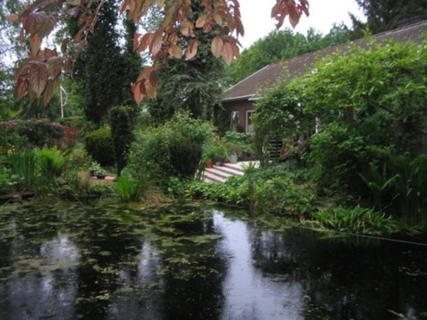 pieterpad_dl2_025 onze tuin in de herfst