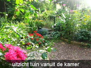 tuin 26 aug. 2009 002
