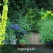 juni 2009 fotos tuin 008