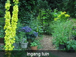 juni 2009 fotos tuin 008