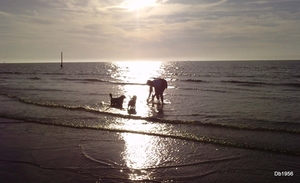 Net voor zonsondergang