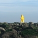 27 SEP 2010