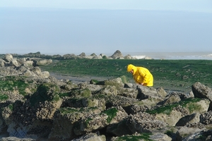 27 SEP 2010