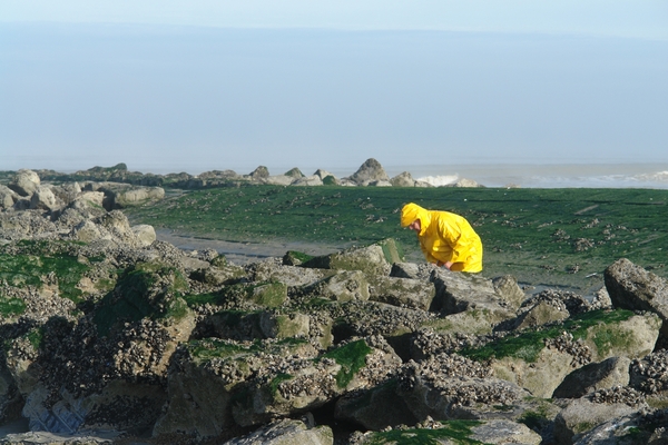 27 SEP 2010