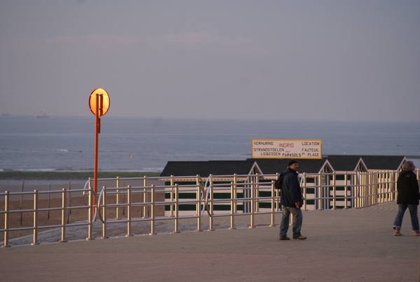 DSC03646
