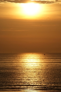 DSC03653