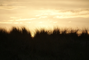 DSC03661