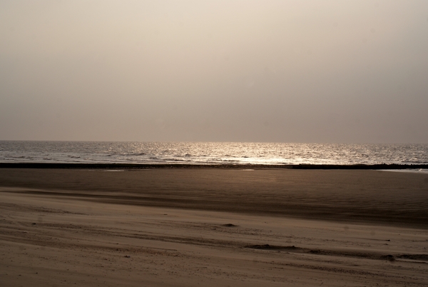 25 MEI 2010 - Avondwandelng langs strand en duinen - sterke N-win