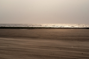 DSC03146